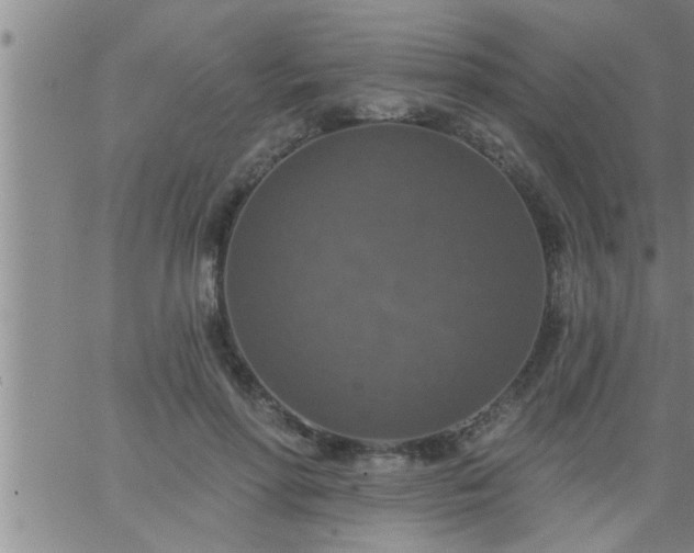 X0000063510598200601271812