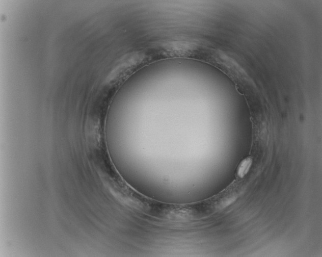 X0000063510599200601271812