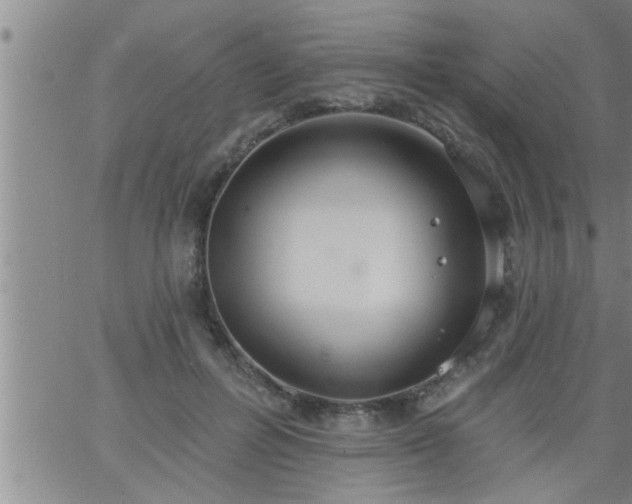 X0000063510600200601271812