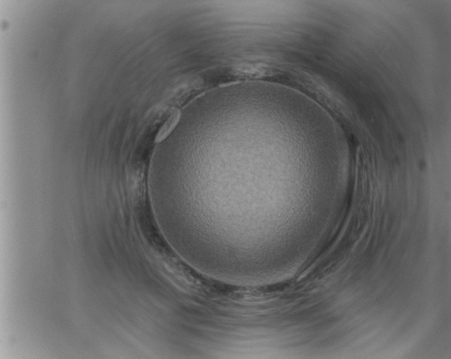 X0000063510601200601271812