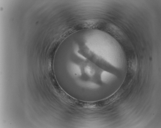 X0000063510602200601271812