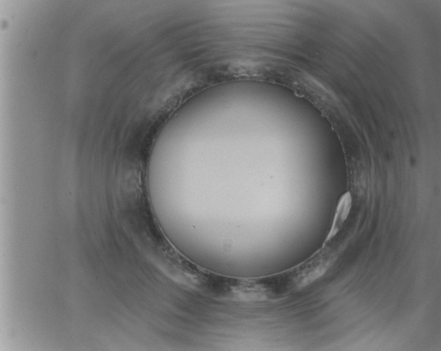 X0000063510603200601271812