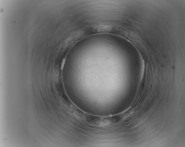 X0000063510604200601271812