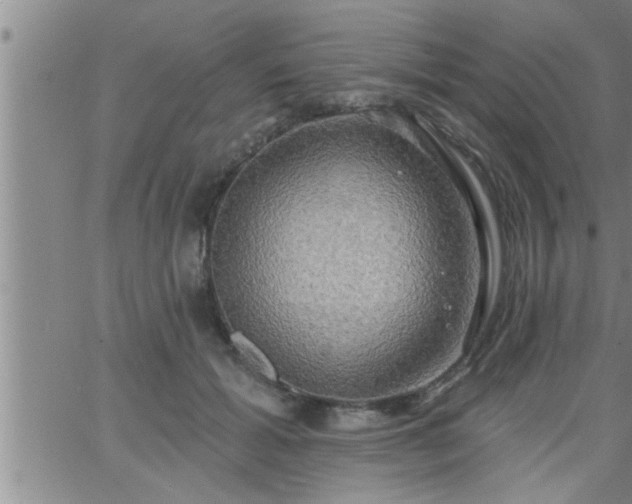 X0000063510605200601271812