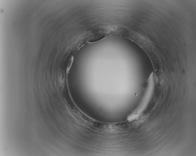 X0000063510607200601271812