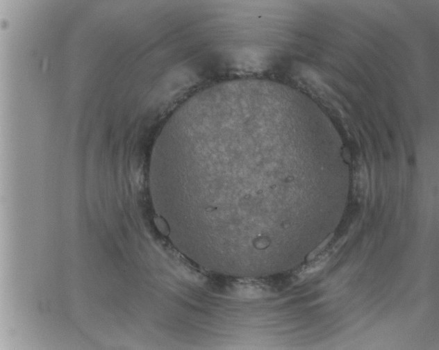 X0000063510608200601271812