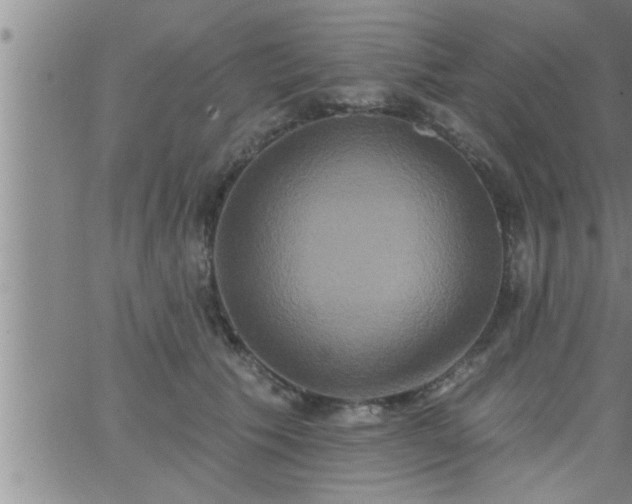 X0000063510609200601271812