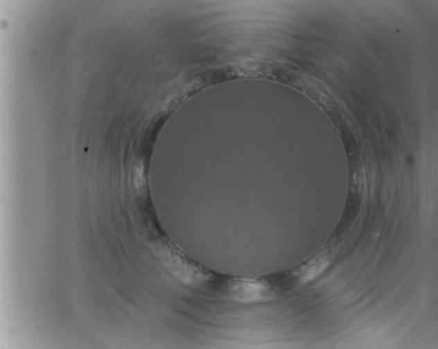 X0000063510610200601271812