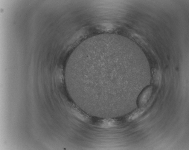 X0000063510612200601271812