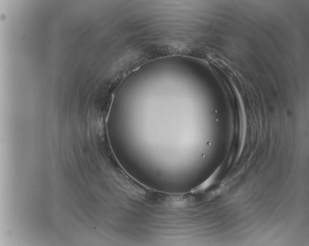 X0000063510613200601271812