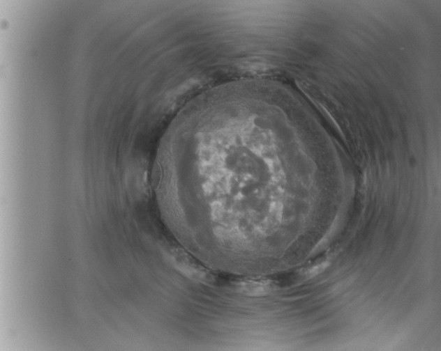 X0000063510615200601271812