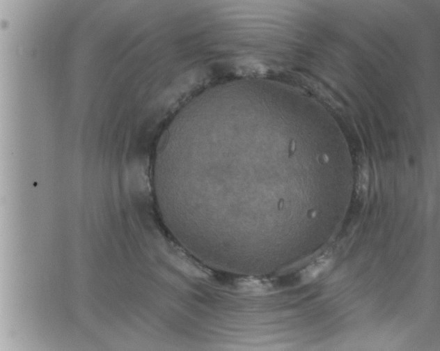 X0000063510616200601271812