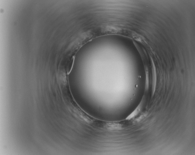 X0000063510617200601271812