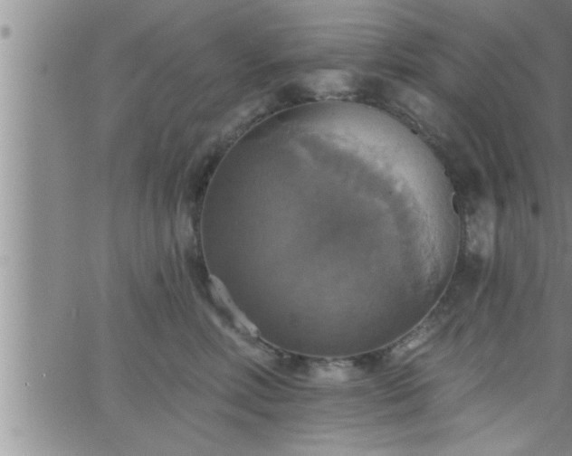 X0000063510618200601271812