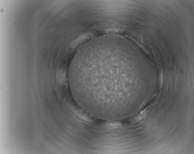 X0000063510619200601271812