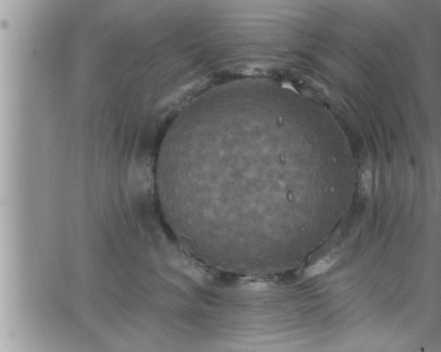 X0000063510620200601271812