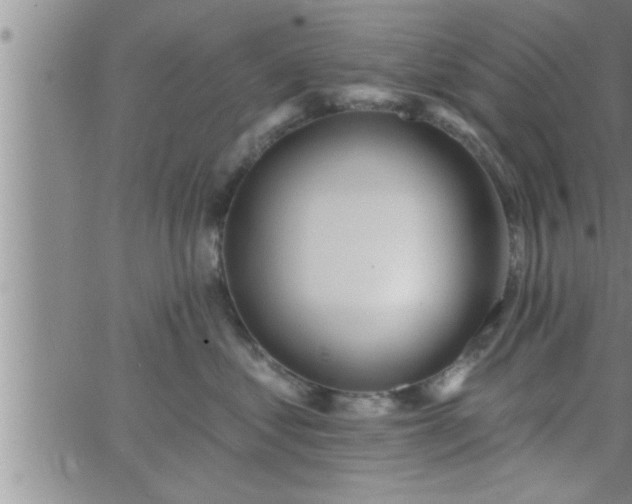 X0000063510621200601271812