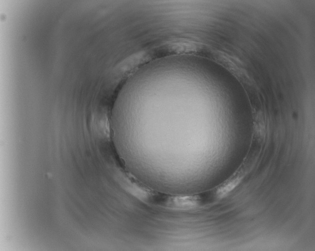 X0000063510622200601271812