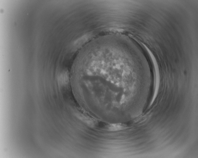 X0000063510623200601271812