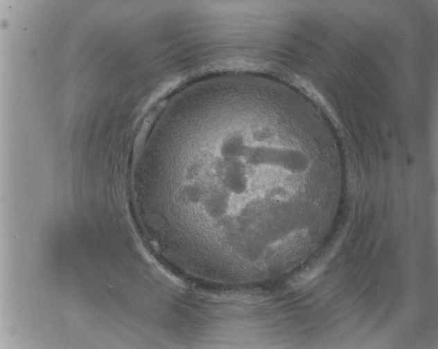 X0000063510625200601271811