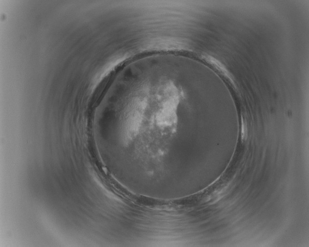 X0000063510627200601271811