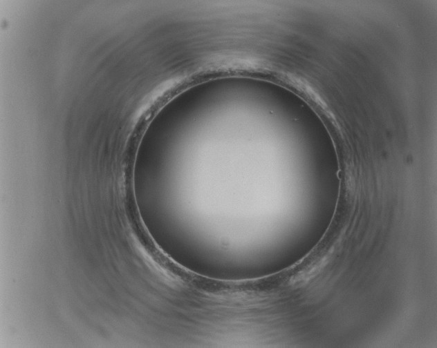 X0000063510629200601271811