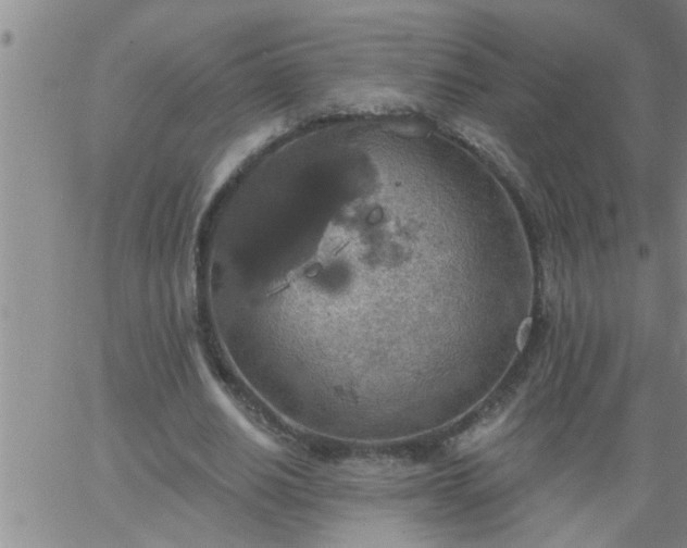 X0000063510630200601271811