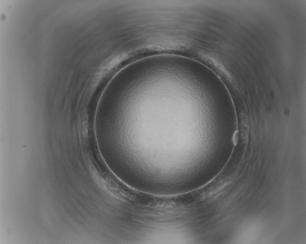 X0000063510631200601271811