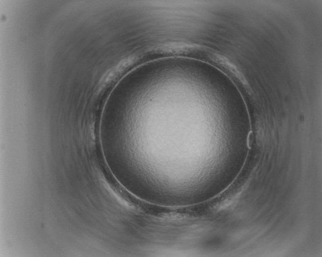 X0000063510633200601271811