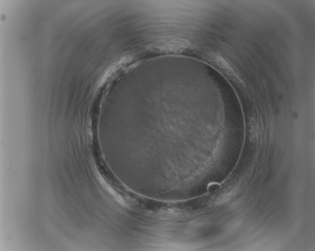 X0000063510634200601271811