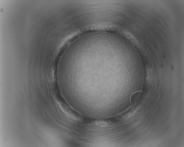 X0000063510636200601271811