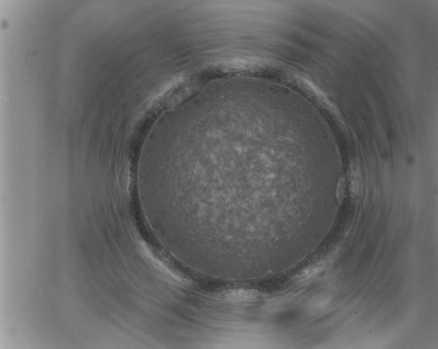 X0000063510637200601271811