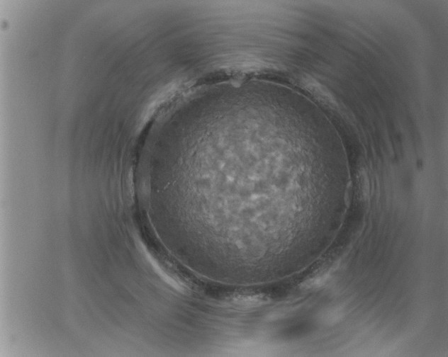 X0000063510638200601271811