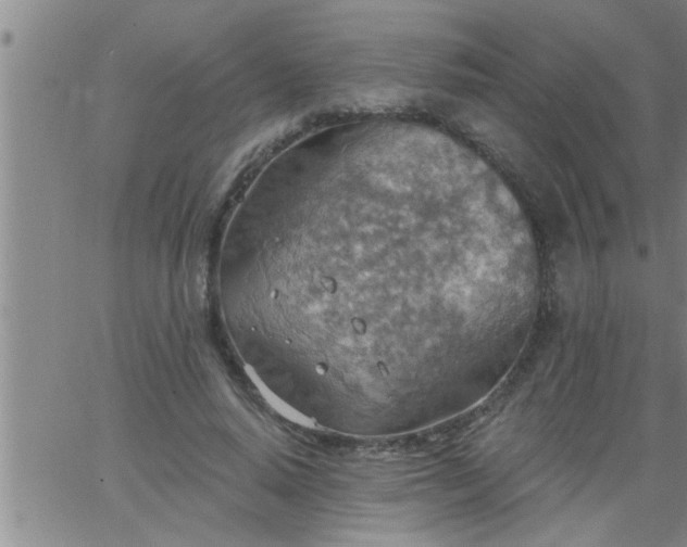 X0000063510640200601271811