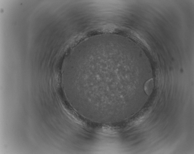 X0000063510641200601271811