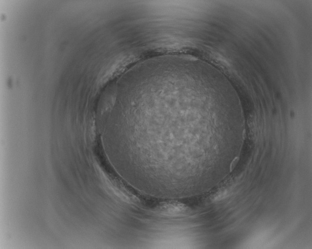 X0000063510642200601271812