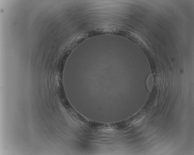 X0000063510643200601271812