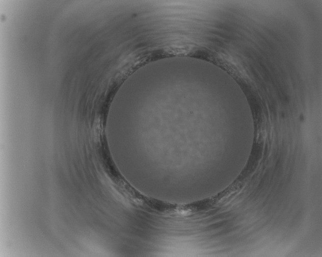 X0000063510647200601271812