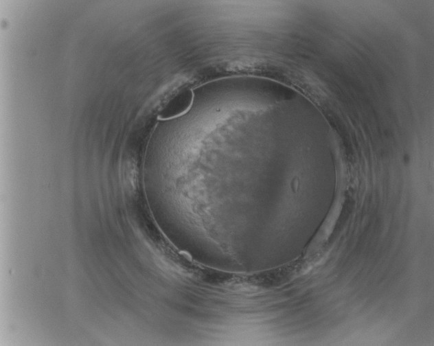 X0000063510648200601271812