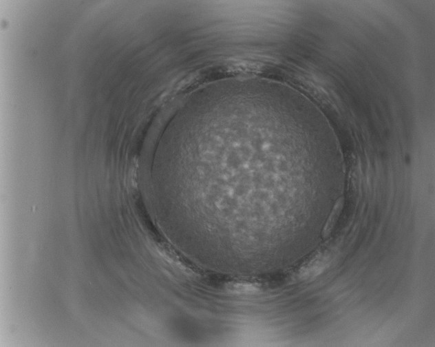 X0000063510649200601271812