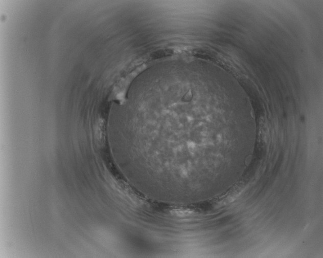 X0000063510650200601271812