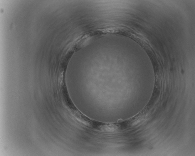 X0000063510652200601271812