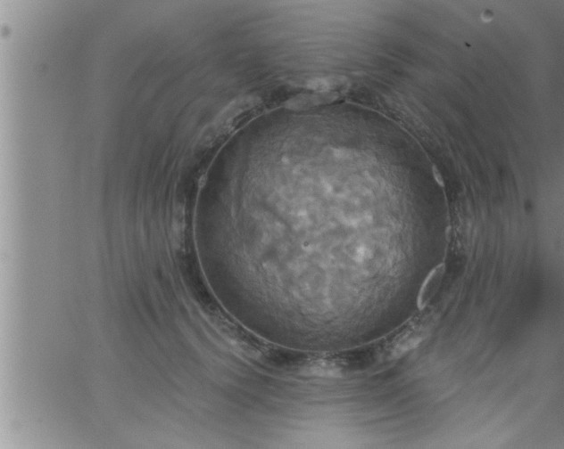 X0000063510656200601271812