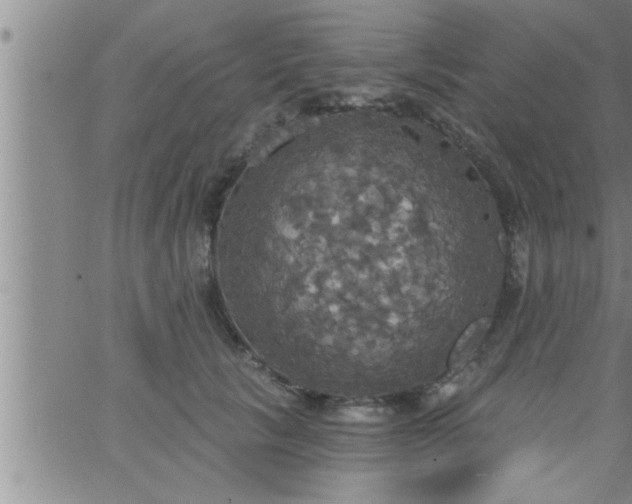 X0000063510657200601271812