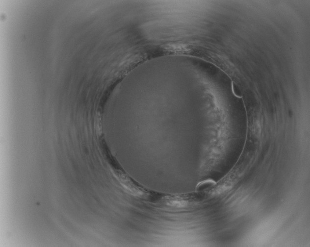 X0000063510658200601271812