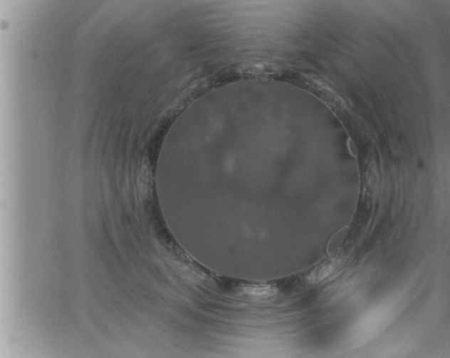 X0000063510659200601271812