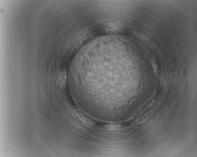 X0000063510660200601271812