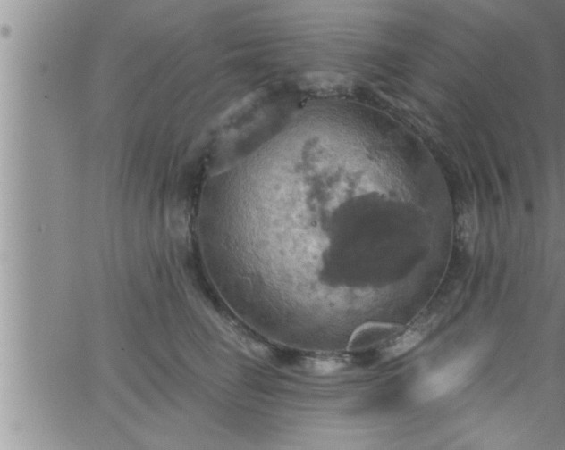 X0000063510662200601271812