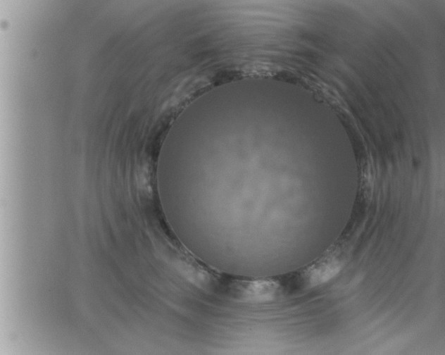 X0000063510663200601271812