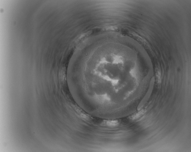 X0000063510665200601271812